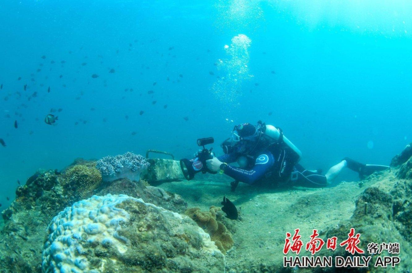 血战西部